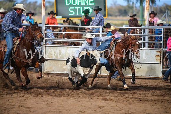 CoonambleRodeoCampdraftSun_3579