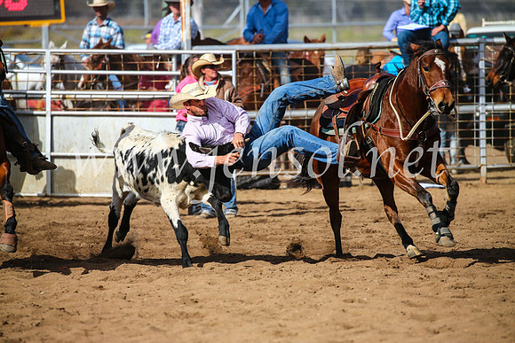 CoonambleRodeoCampdraftSun_3522