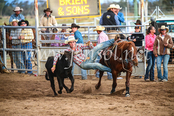 CoonambleRodeoCampdraftSun_5113