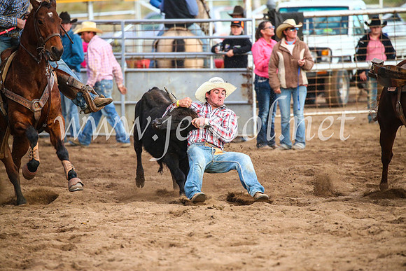 CoonambleRodeoCampdraftSun_5108