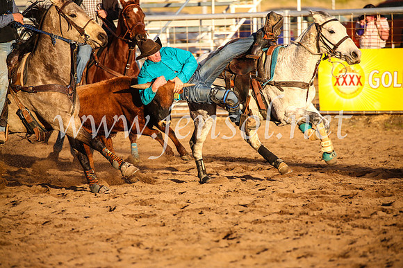 CoonambleRodeoCampdraftSun_5084