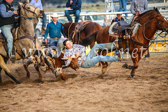 CoonambleRodeoCampdraftSun_5104