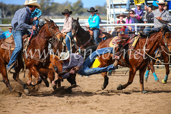 CoonambleRodeoCampdraftSun_3491