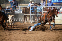 CoonambleRodeoCampdraftSun_3538