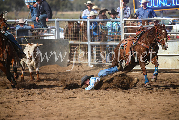 CoonambleRodeoCampdraftSun_3538