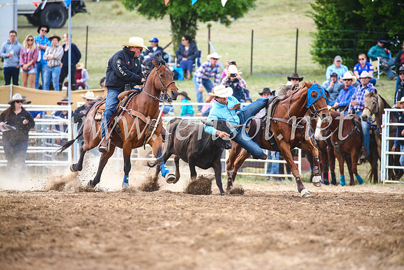 BungendoreRodeo2017_4612