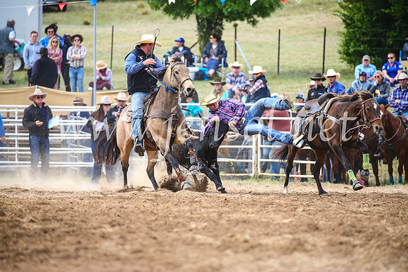 BungendoreRodeo2017_4665