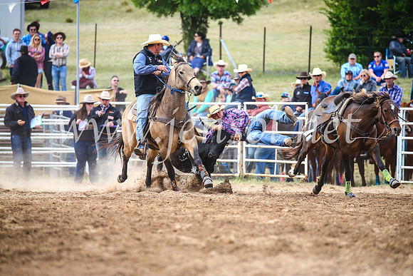BungendoreRodeo2017_4663
