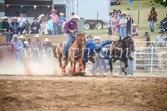 BungendoreRodeo2017_4629