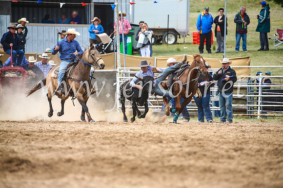 BungendoreRodeo2017_5007