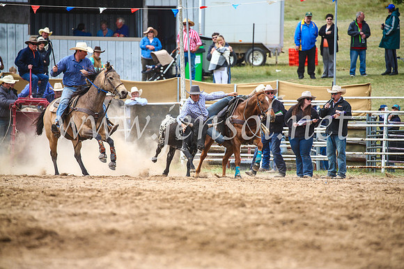 BungendoreRodeo2017_5000