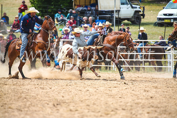 BungendoreRodeo2017_3923