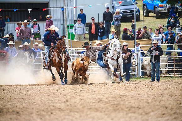 BungendoreRodeo2017_3893