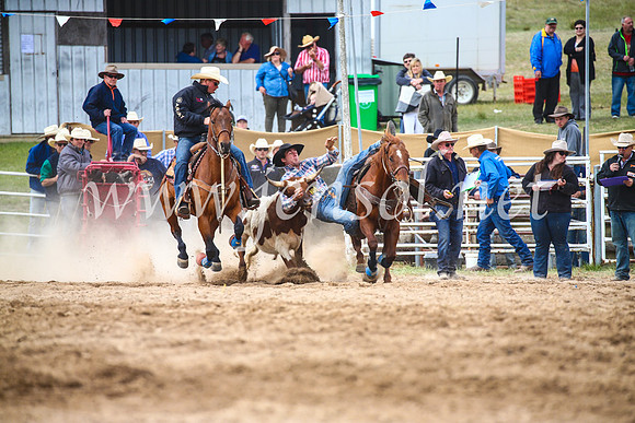 BungendoreRodeo2017_4990