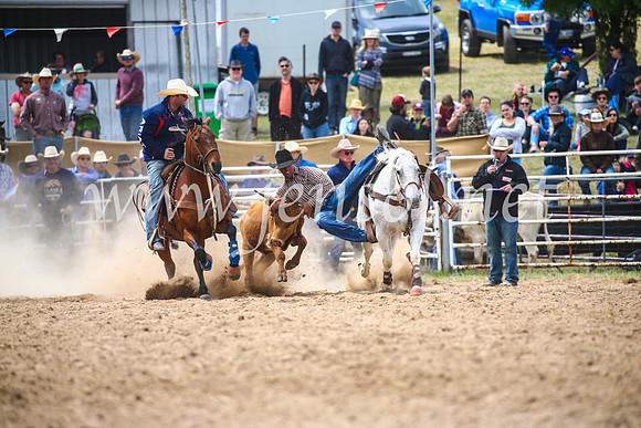BungendoreRodeo2017_3897