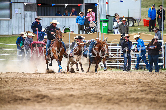 BungendoreRodeo2017_4991