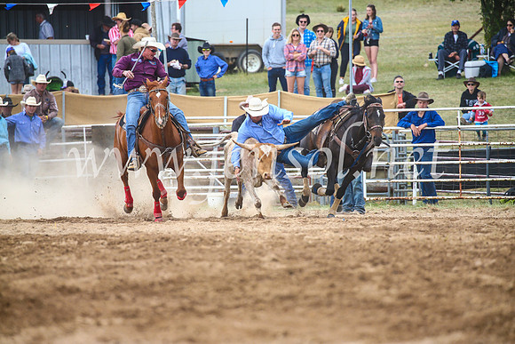 BungendoreRodeo2017_4700
