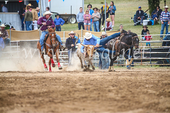 BungendoreRodeo2017_4701