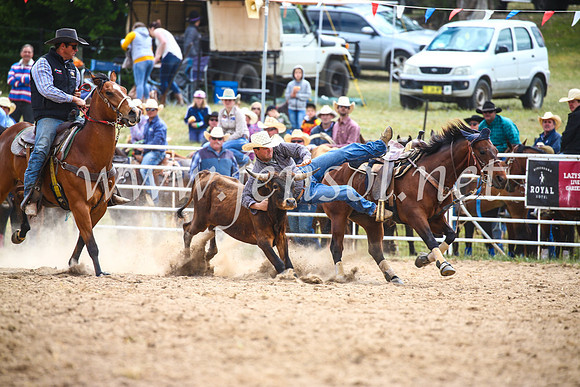 BungendoreRodeo2017_1646