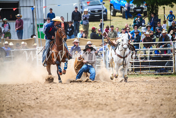 BungendoreRodeo2017_3889