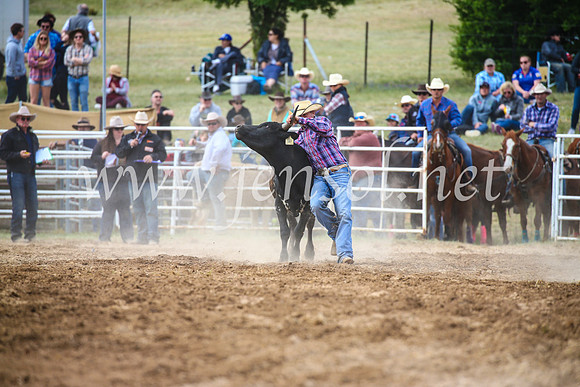BungendoreRodeo2017_4658