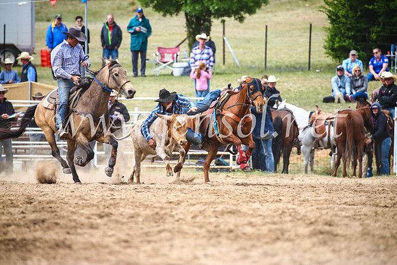 BungendoreRodeo2017_5026