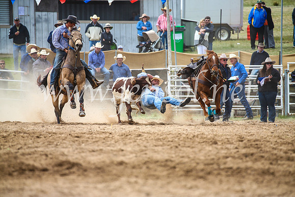 BungendoreRodeo2017_5062