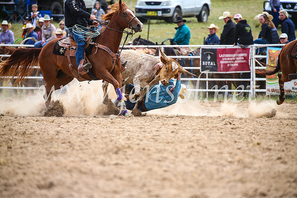BungendoreRodeo2017_1678