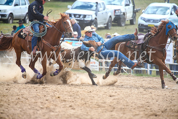 BungendoreRodeo2017_1665
