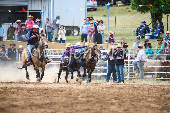 BungendoreRodeo2017_4647