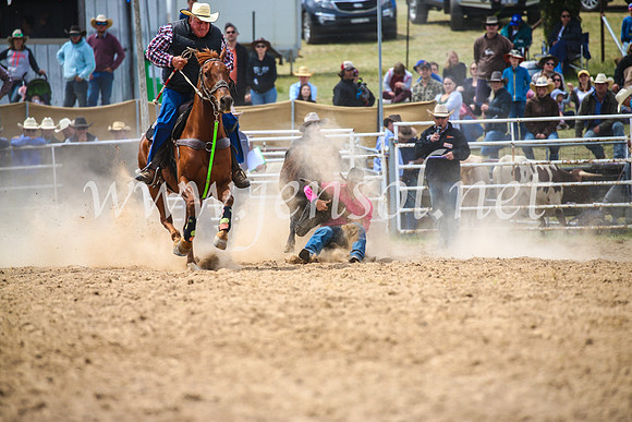 BungendoreRodeo2017_3873