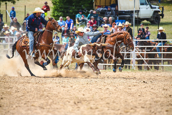 BungendoreRodeo2017_3909