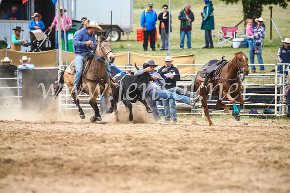 BungendoreRodeo2017_5010