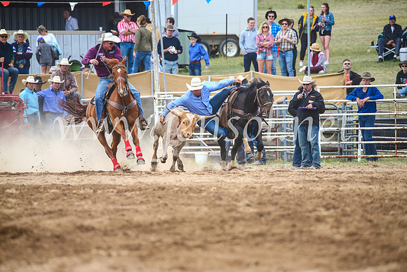 BungendoreRodeo2017_4704