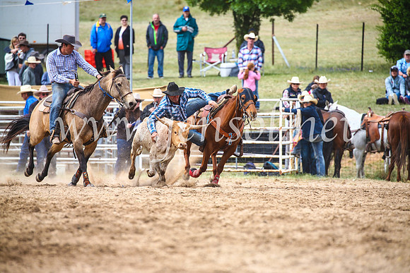 BungendoreRodeo2017_5015