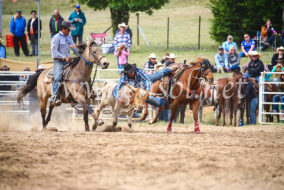 BungendoreRodeo2017_5025