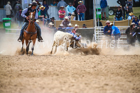 BungendoreRodeo2017_3951