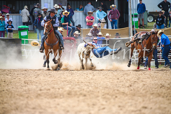 BungendoreRodeo2017_3948