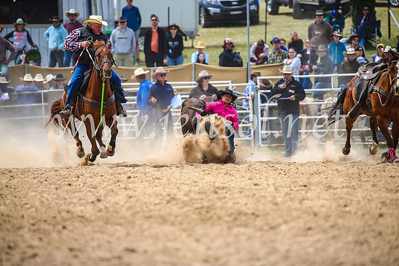 BungendoreRodeo2017_3884