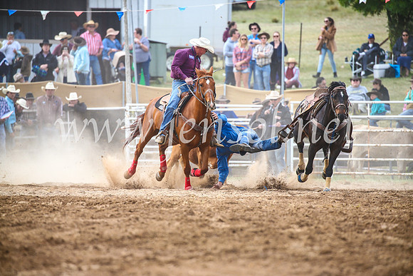 BungendoreRodeo2017_4631