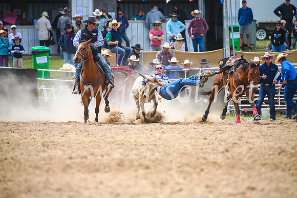 BungendoreRodeo2017_3945