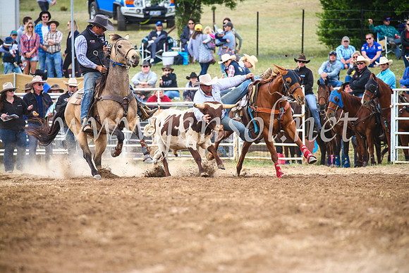 BungendoreRodeo2017_4580