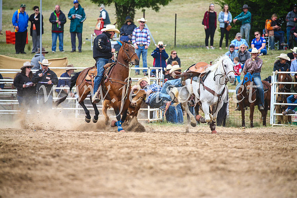 BungendoreRodeo2017_4989