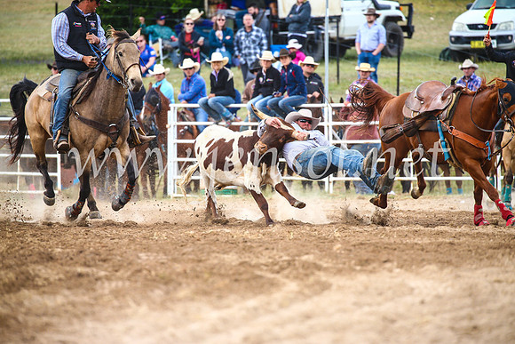 BungendoreRodeo2017_4592