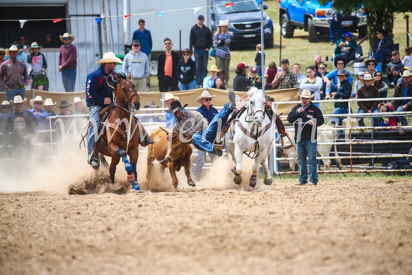 BungendoreRodeo2017_3896