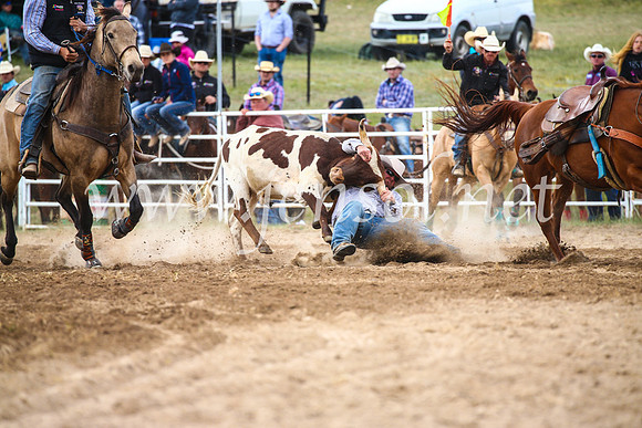 BungendoreRodeo2017_4584