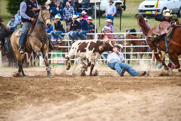 BungendoreRodeo2017_4582