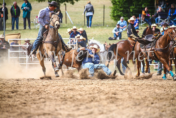 BungendoreRodeo2017_5043
