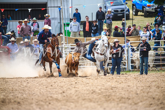 BungendoreRodeo2017_3891