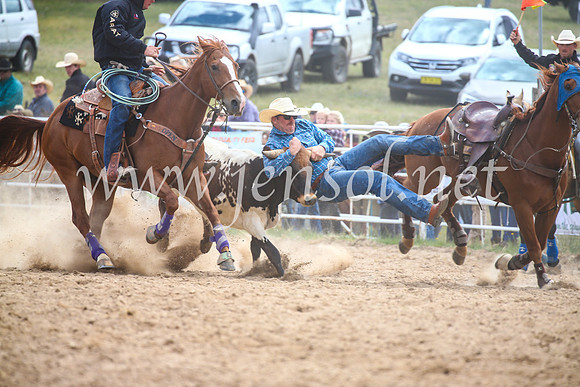 BungendoreRodeo2017_1660
